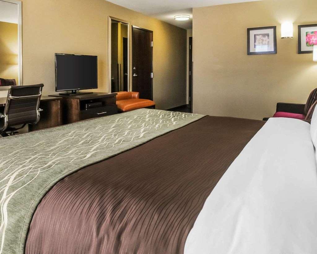 Comfort Inn & Suites Artesia Room photo