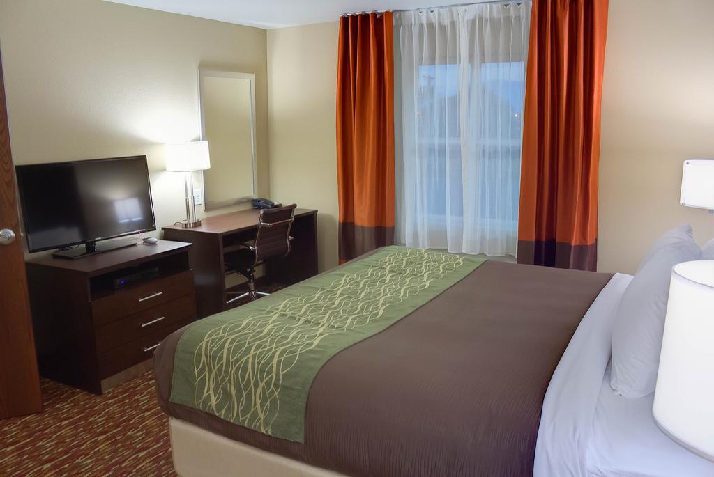 Comfort Inn & Suites Artesia Room photo